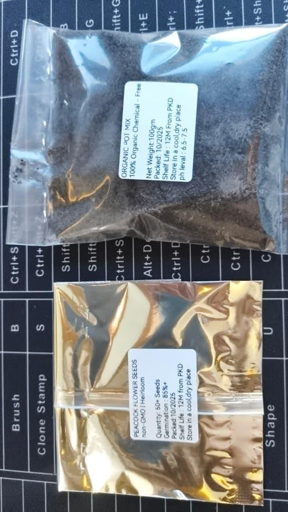 Vibrant Peacock Flower Seeds Pack of 1